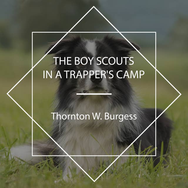 The Boy Scouts in a Trapper's Camp