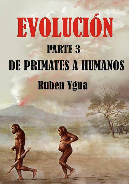 Evolución- De Primates A Humanos