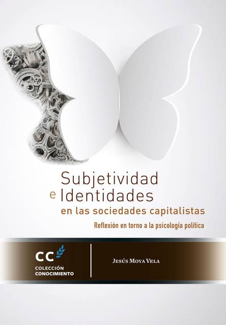 Subjetividad e identidades en las sociedades capitalistas: Reflexión en torno a la psicología política