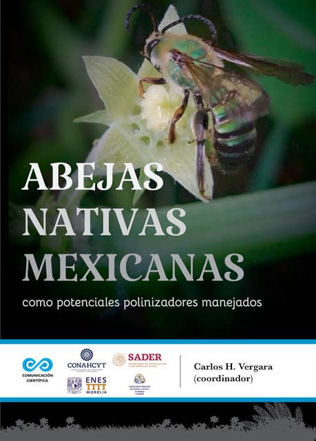 Abejas nativas mexicanas como potenciales polinizadores manejados