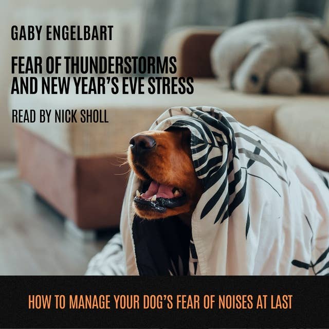 Fear of Thunderstorm and New Year's Eve Stress: How to manage your dog's fear of noises and to sleep through nights full of thunderstorms and fireworks at last.