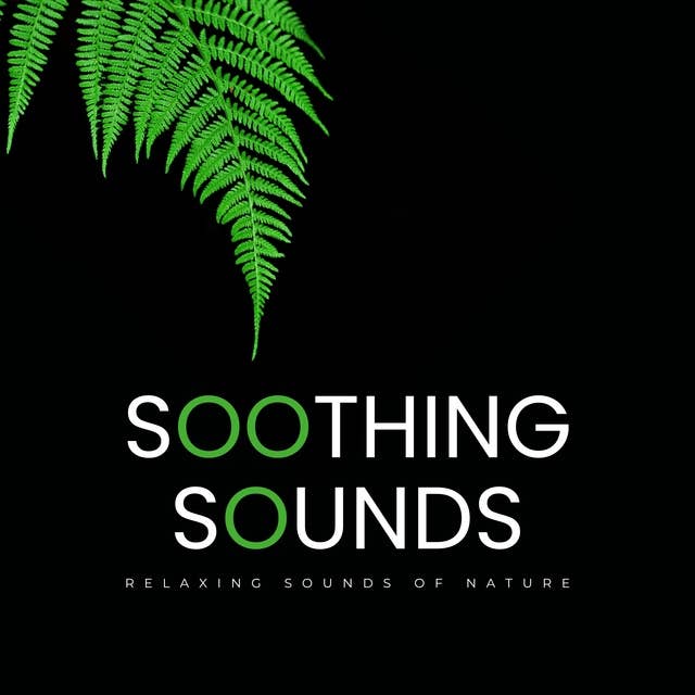 Soothing Sounds: Relaxing Sounds Of Nature