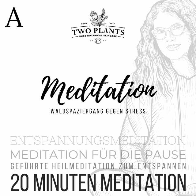 Meditation Waldspaziergang gegen Stress: Meditation für die Pause - Geführte Heilmeditation zum Entspannen - Entspannungsmeditation