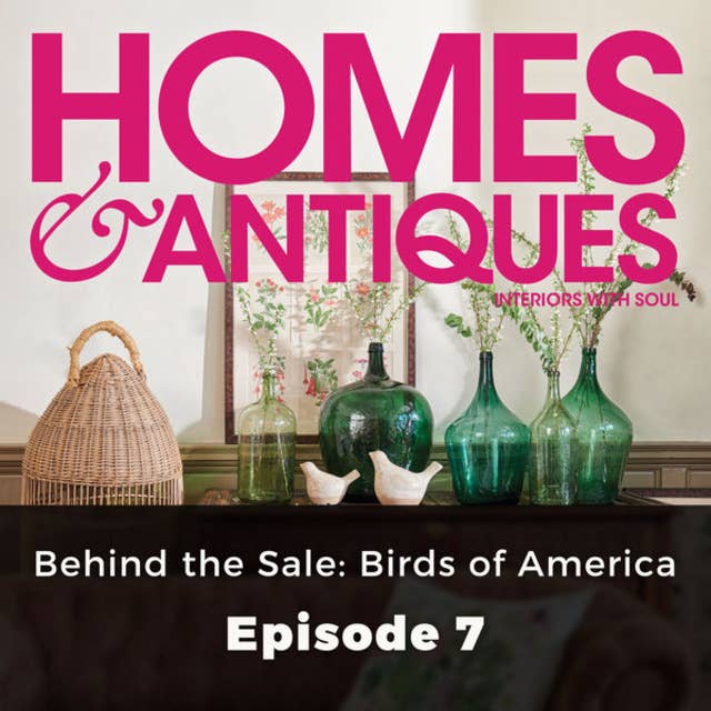Homes & Antiques: Behind the Sale– Birds of America