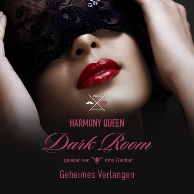 Dark Room - Band 1: Geheimes Verlangen