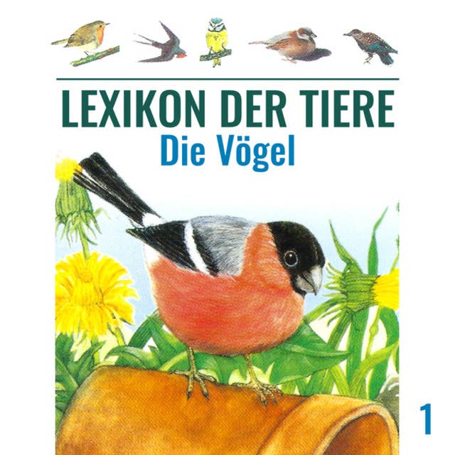 Lexikon der Tiere - Folge 1: Die Vögel