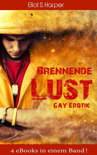 Brennende Lust: Gay Erotik: 4 eBooks in einem Band!