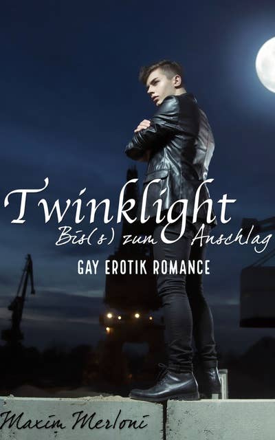 Twinklight - Bis(s) zum Anschlag: Gay Erotik Romance