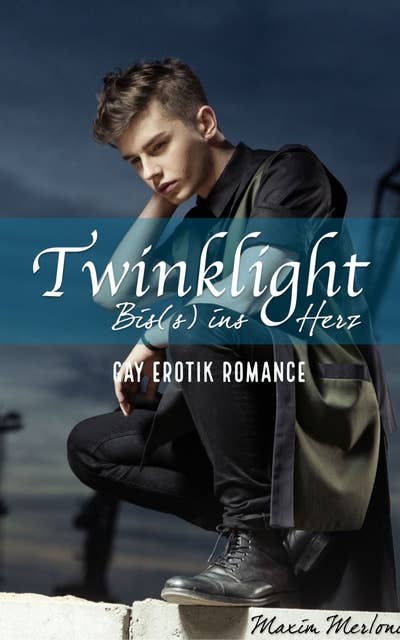 Twinklight - Bis(s) ins Herz: Gay Erotik Romance