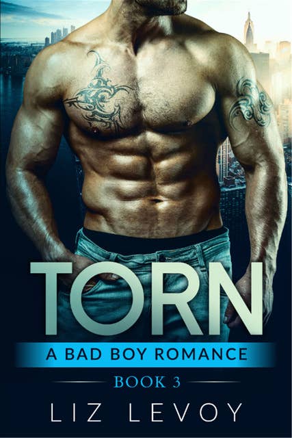 Torn 3: A Bad Boy Romance