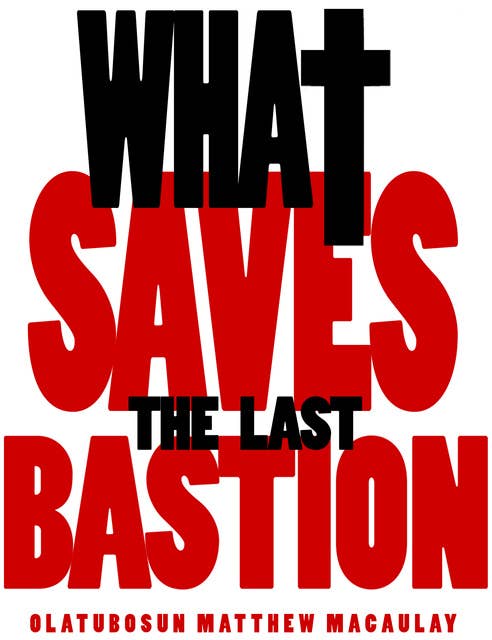 What Saves: The Last Bastion