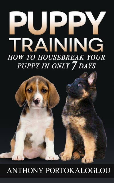 Puppy Training: How to Housebreak Your Puppy in Only 7 Days