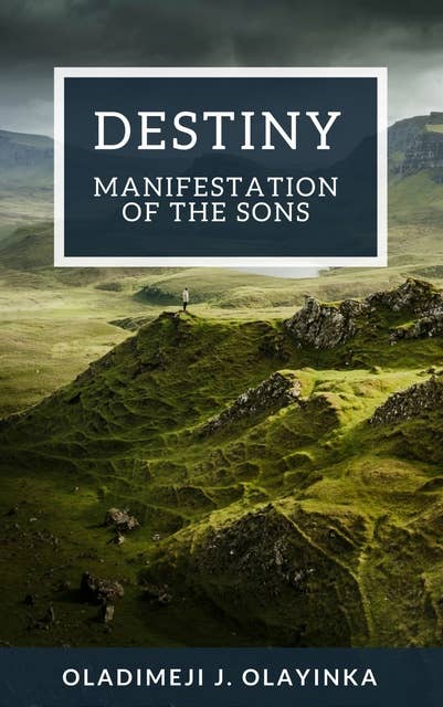 Cover for Destiny: Manifestation of the Sons