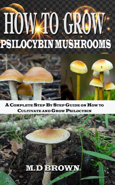 How To Grow Psilocybin Mushrooms: A Complete Step By Step Guide On How ...