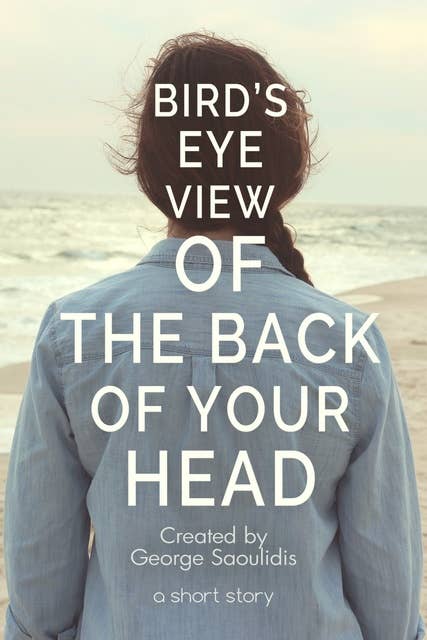 Bird’s-Eye View of the Back of Your Head: A Short Story