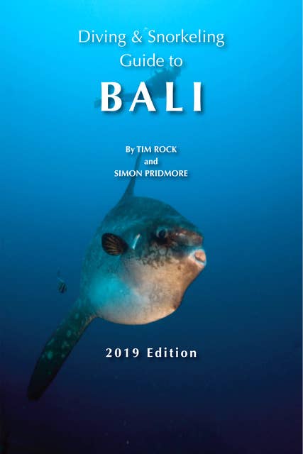 Diving & Snorkeling Guide to Bali