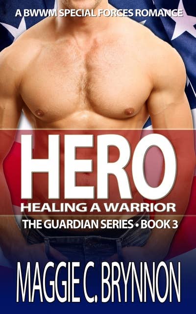 Hero: Healing a Warrior, Book 3: The Guardian Series, Book 3