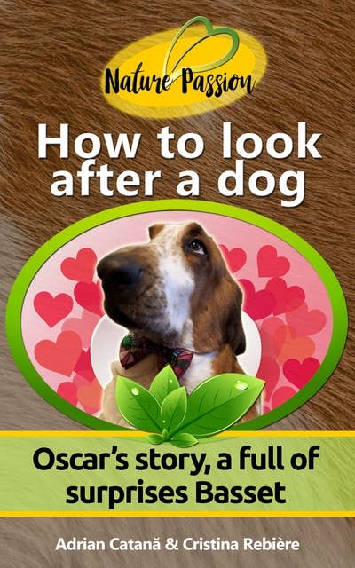 How to look after a dog: Oscar’s story, a full of surprises Basset