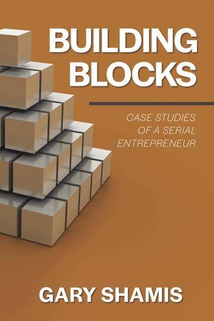 Building Blocks: Case Studies of a Serial Entrepreneur