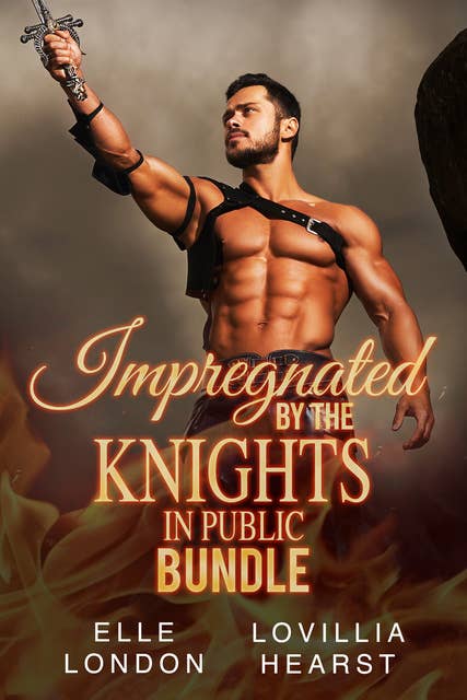 Impregnated By The Knights In Public Bundle
