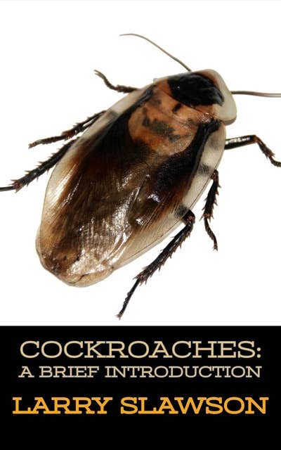 Cockroaches: A Brief Introduction