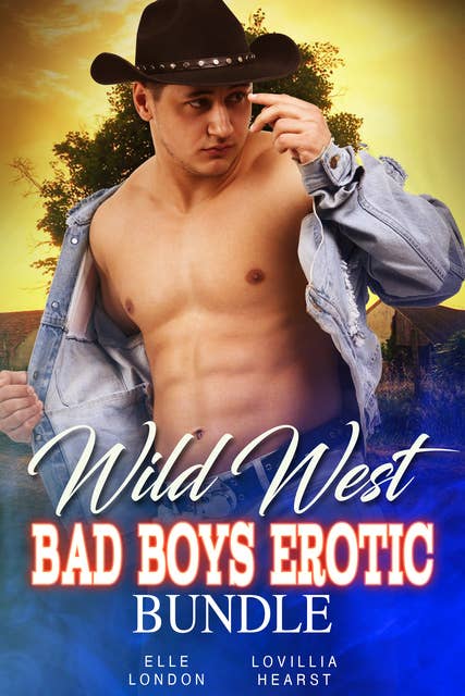 Wild West Bad Boys Erotic Bundle