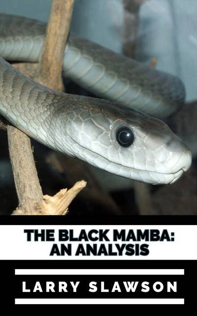 The Black Mamba: An Analysis