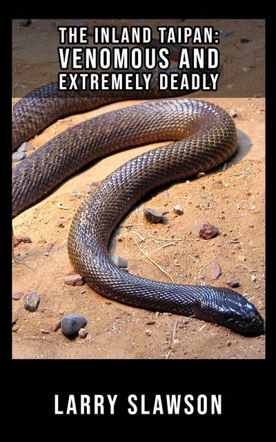The Inland Taipan: Venomous and Extremely Deadly