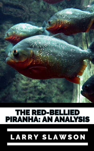 The Red-Bellied Piranha: An Analysis