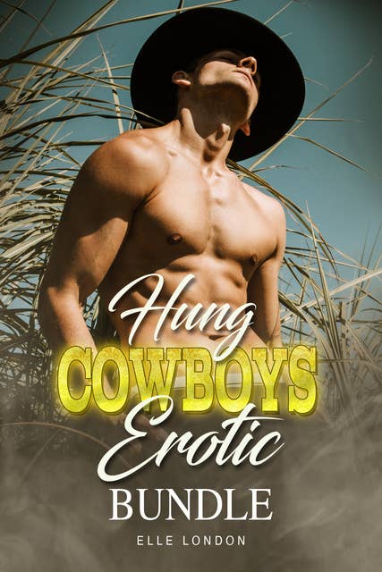 Hung Cowboys Erotic Bundle
