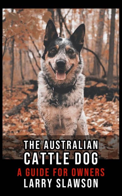 The Australian Cattle Dog: A Guide for Owners