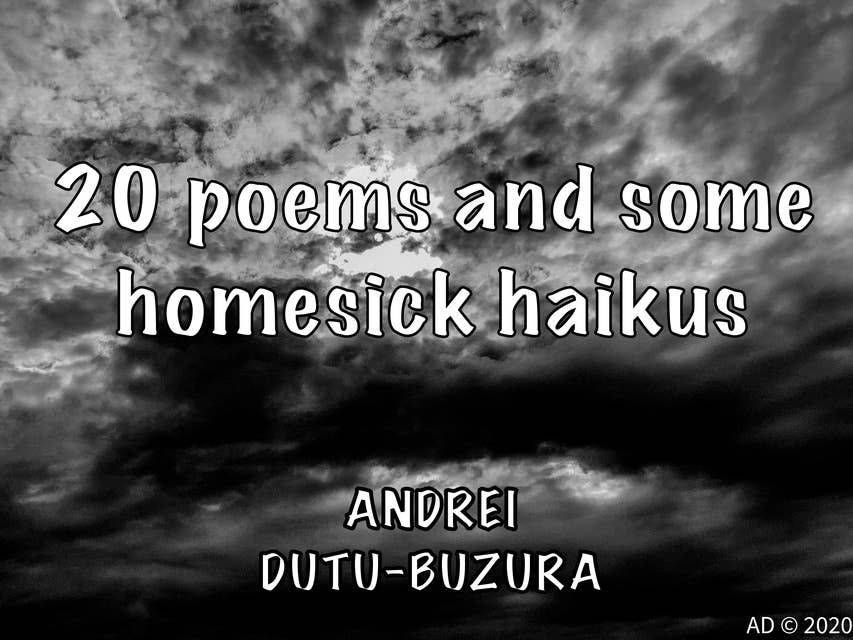 20 poems and some homesick haikus: in 2500 Words (including titles)