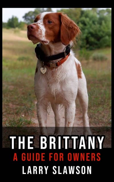 The Brittany: A Guide for Owners