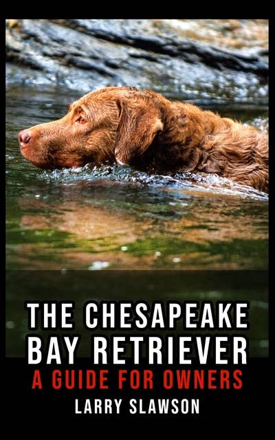 The Chesapeake Bay Retriever: A Guide for Owners