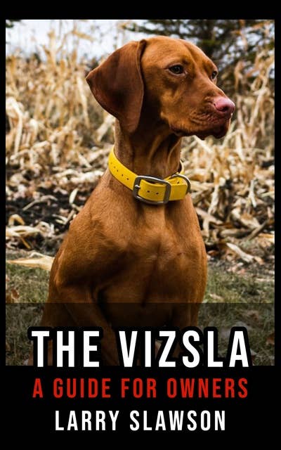 The Vizsla: A Guide for Owners