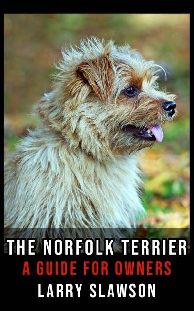 The Norfolk Terrier: A Guide for Owners