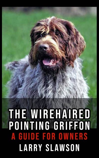 The Wirehaired Pointing Griffon: A Guide for Owners