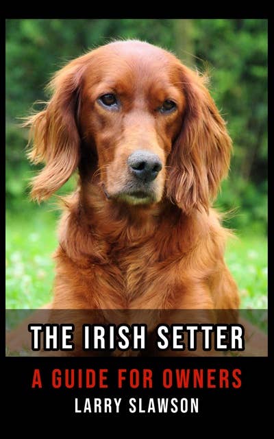 The Irish Setter: A Guide for Owners