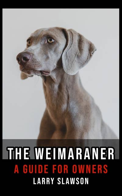 The Weimaraner: A Guide for Owners