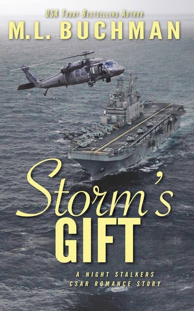 Storm's Gift: A Military Romantic Suspense Story