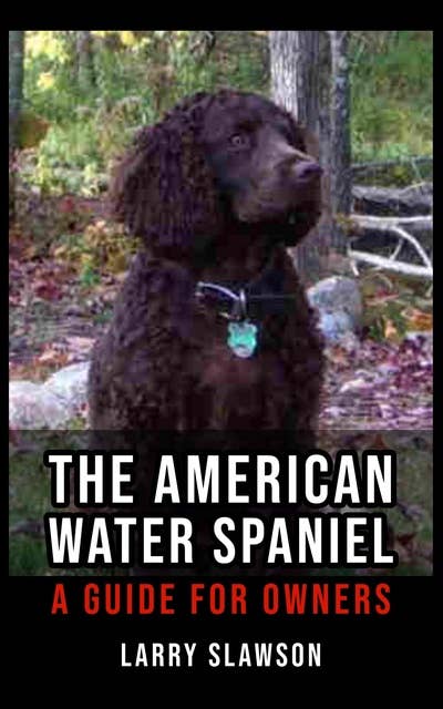 The American Water Spaniel: A Guide for Owners