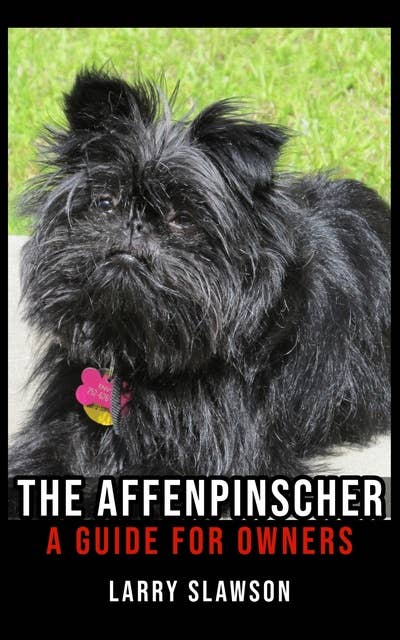 The Affenpinscher: A Guide for Owners