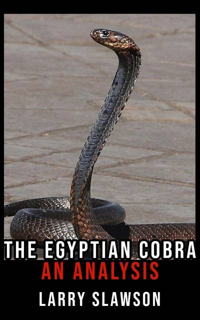 The Egyptian Cobra: An Analysis