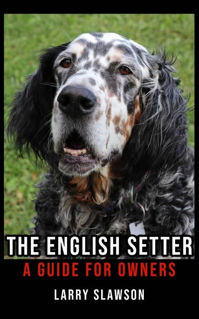 The English Setter: A Guide for Owners
