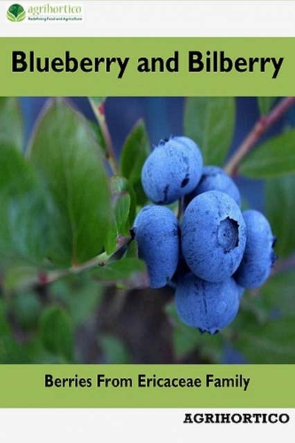 Blueberry and Bilberry: Berries from Ericaceae Family
