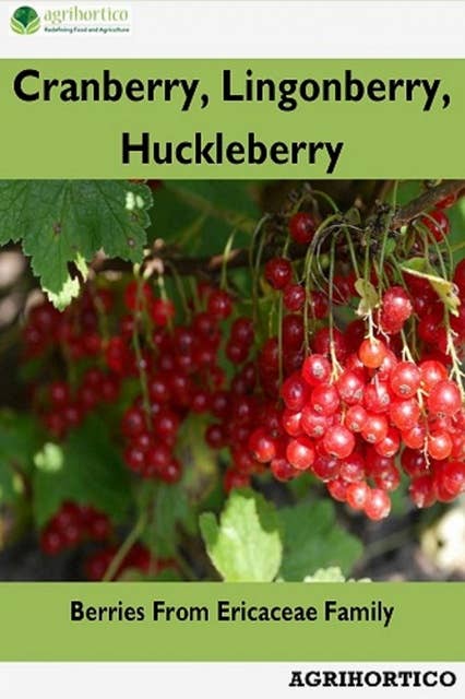 Cranberry, Lingonberry, Huckleberry: Berries from Ericaceae Family