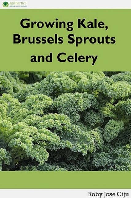Growing Kale Leaves, Brussels Sprouts and Celery