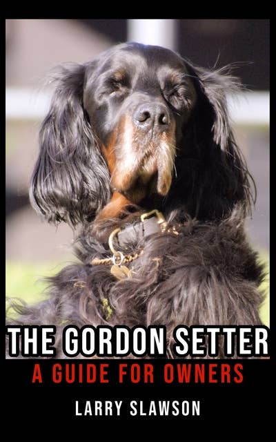 The Gordon Setter: A Guide for Owners
