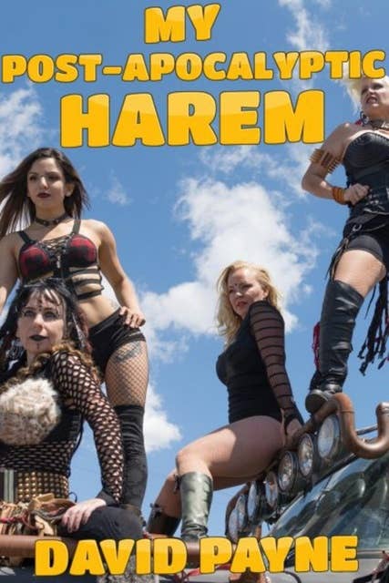 My post-apocalyptic harem: An adventure harem story
