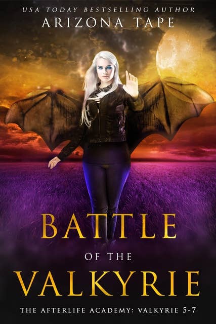Battle Of The Valkyrie: The Afterlife Academy: Valkyrie 5-7